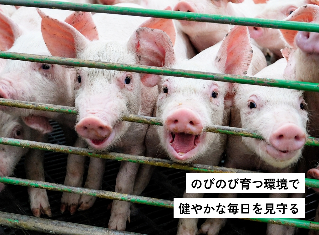 健やかな成長を支える