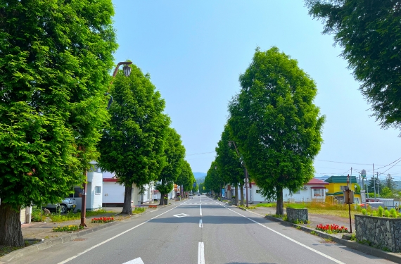 車での移動がしやすい地域