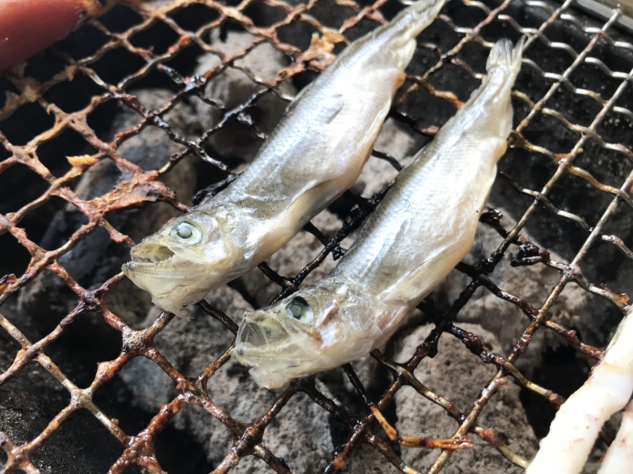 地元の食と地域文化を味わえる場所