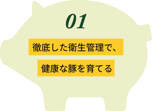 徹底した衛生管理で、健康な豚を育てる